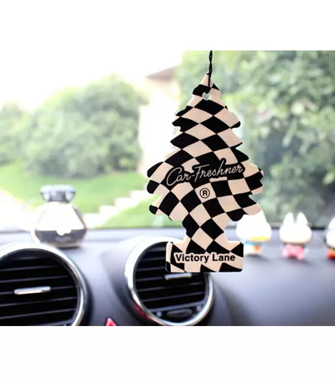 Auton Ilmanraikastin Oma Logo ja Muoto - Auton ilmanraikastimet - PRM1001 - 1