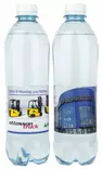 Hiilihapotettu Lähdevesi Logolla 0,5L - Makuvesi - FRE003 - 2
